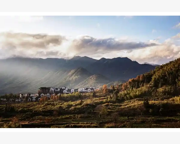 气血不足导致舌干无津液的原因及如何改善